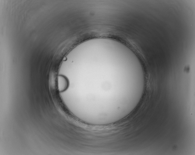 X0000115480026200911061034