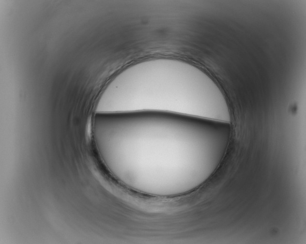 X0000115480028200911061034