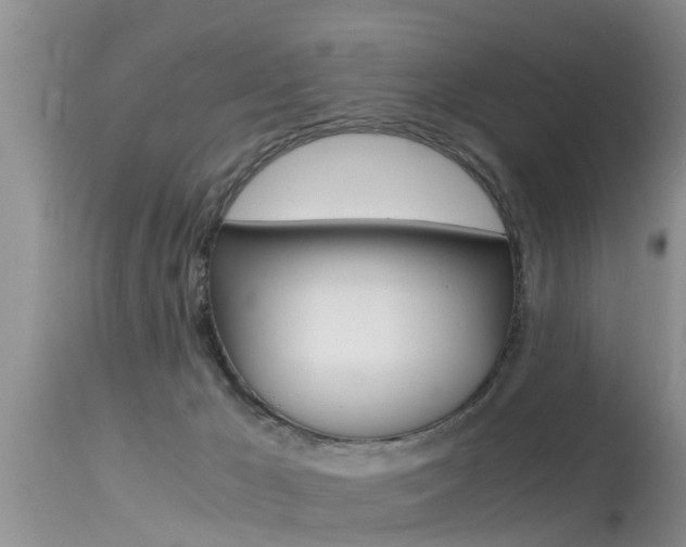 X0000115480029200911061034