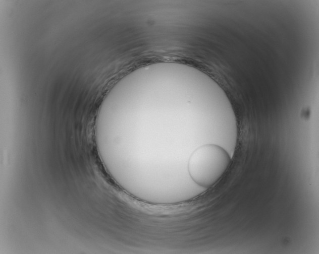 X0000115480030200911061034