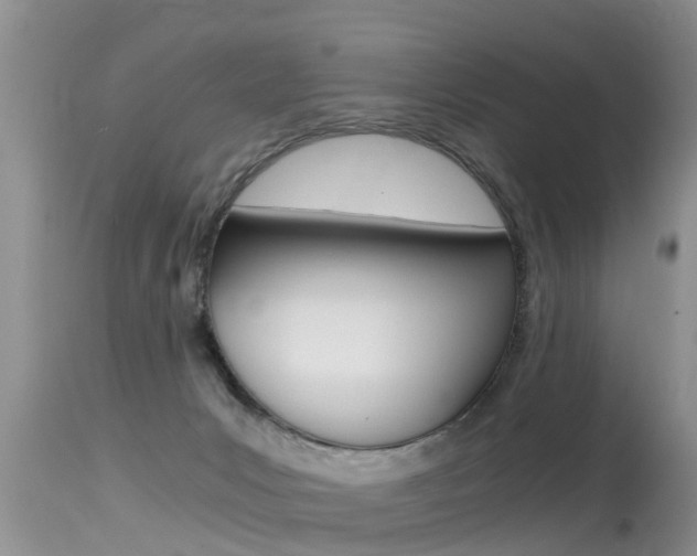 X0000115480031200911061034