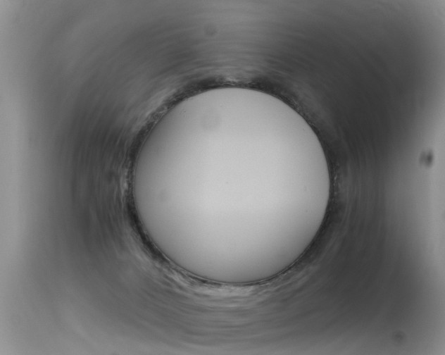 X0000115480032200911061034