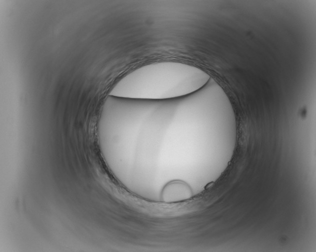 X0000115480034200911061034