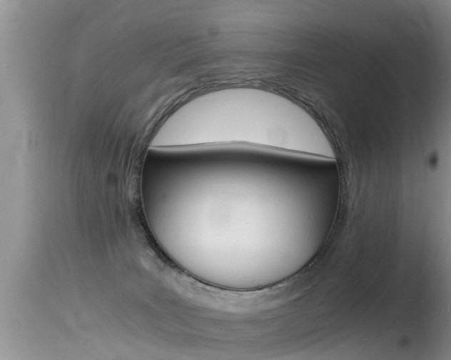 X0000115480035200911061034