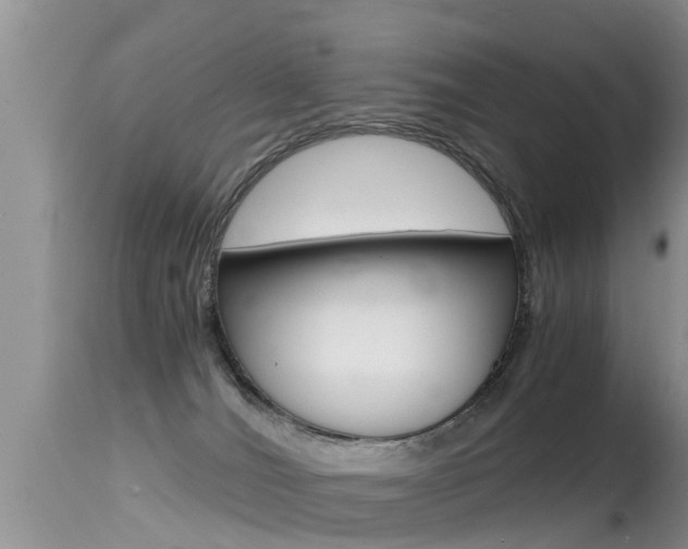 X0000115480036200911061034