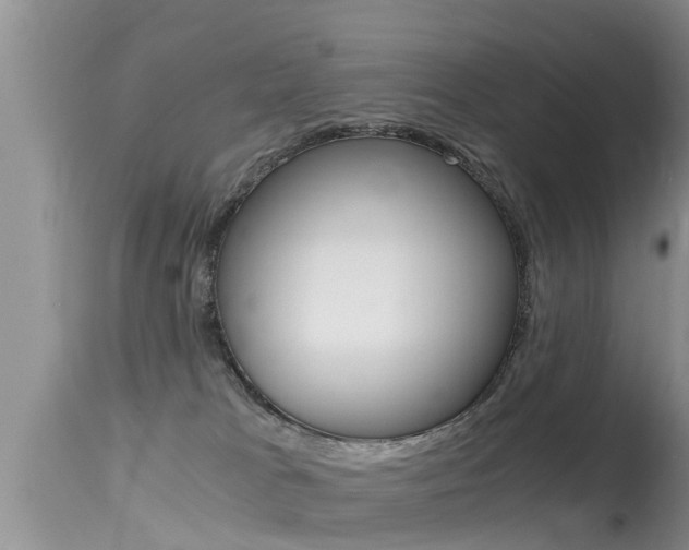 X0000115480037200911061034
