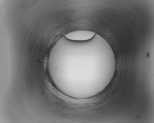 X0000115480038200911061034
