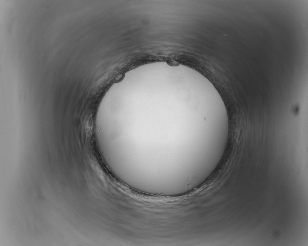 X0000115480040200911061034