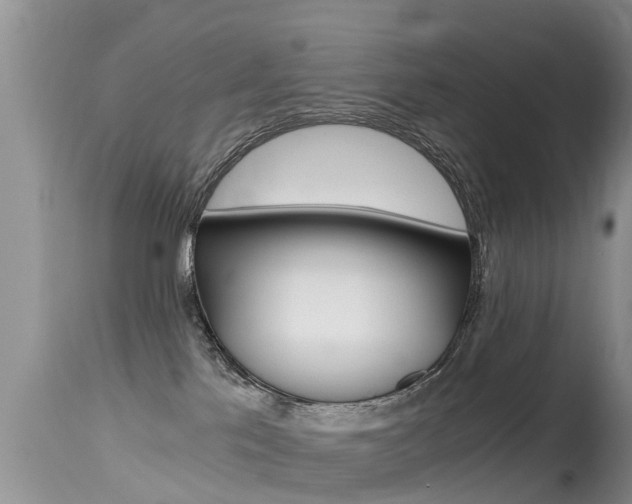 X0000115480041200911061034