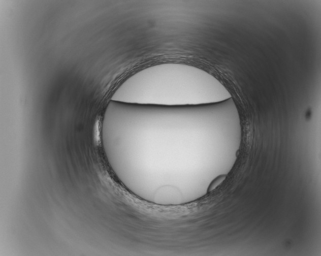 X0000115480042200911061034