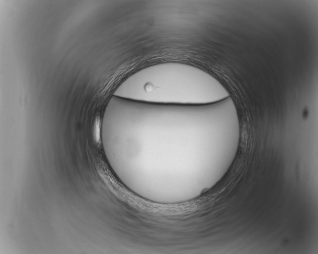 X0000115480046200911061034