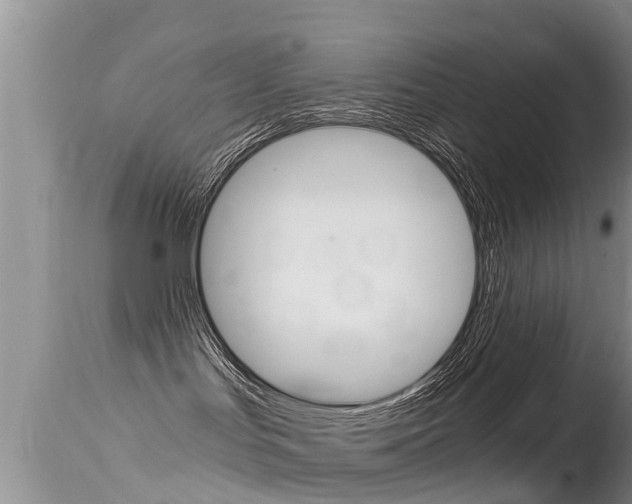 X0000115480047200911061034