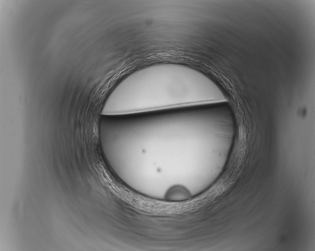 X0000115480048200911061034