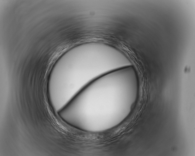 X0000115480049200911061034