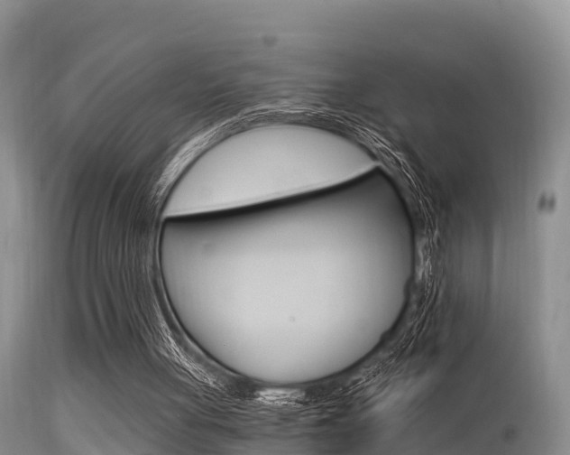 X0000115480051200911061034