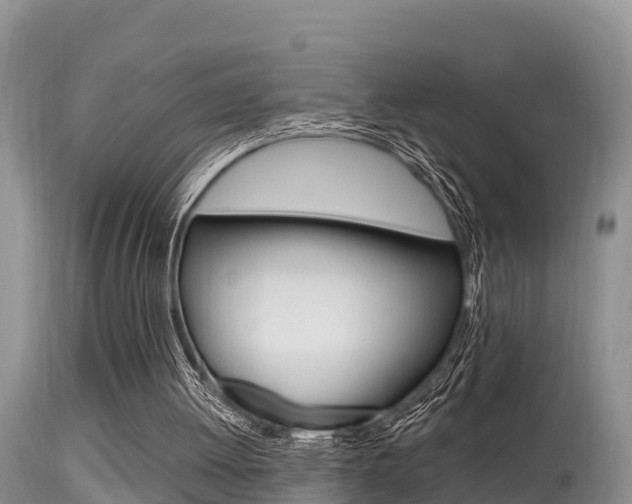 X0000115480052200911061034