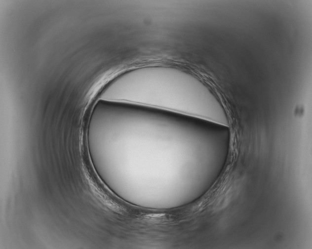 X0000115480054200911061034