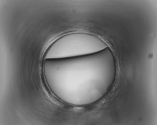 X0000115480055200911061034