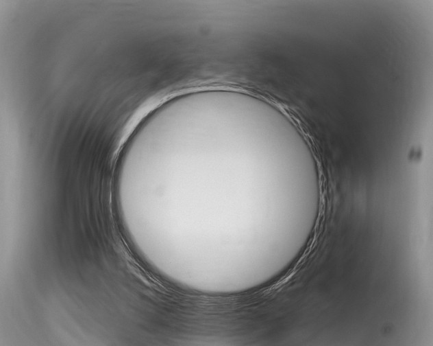 X0000115480056200911061034