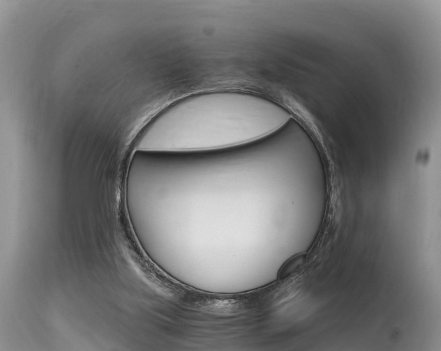 X0000115480059200911061034