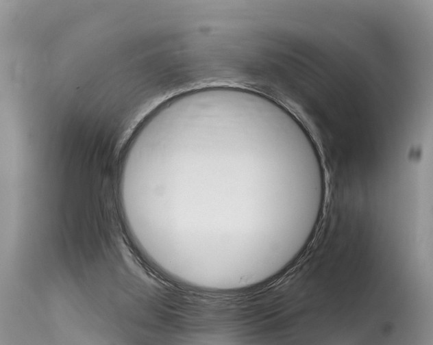 X0000115480060200911061034