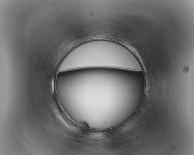 X0000115480061200911061034