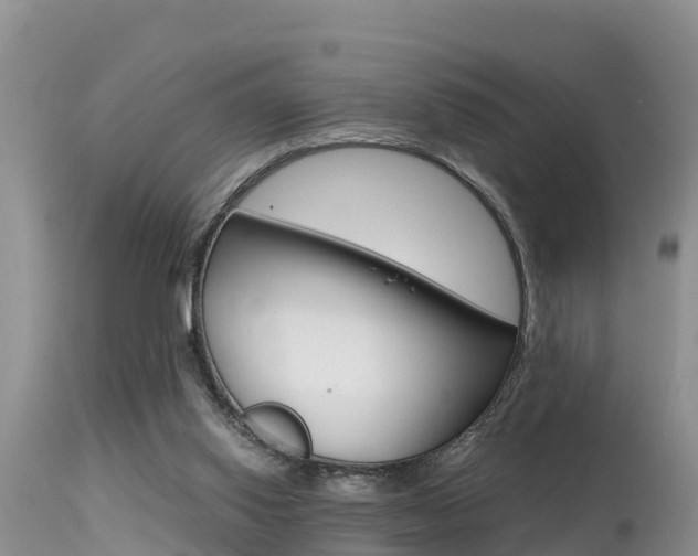 X0000115480062200911061034