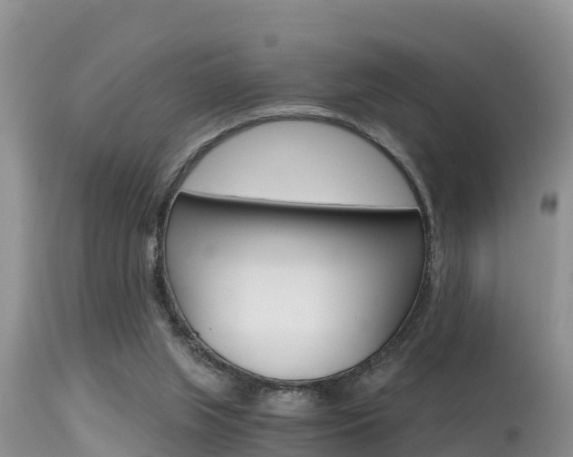 X0000115480063200911061034