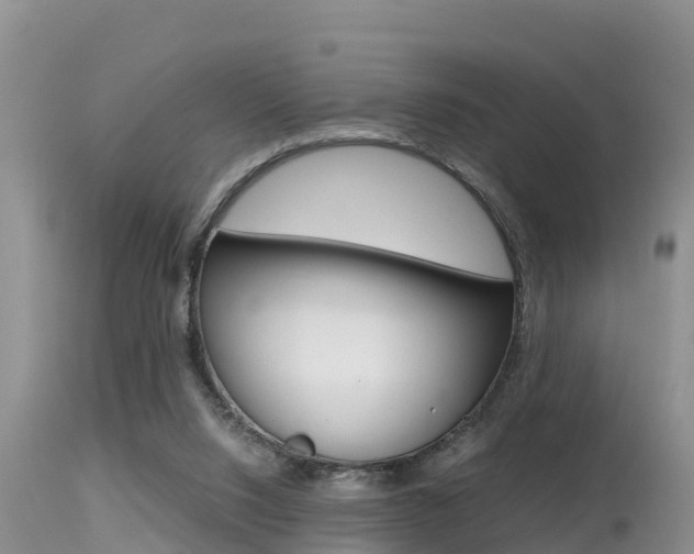 X0000115480064200911061034