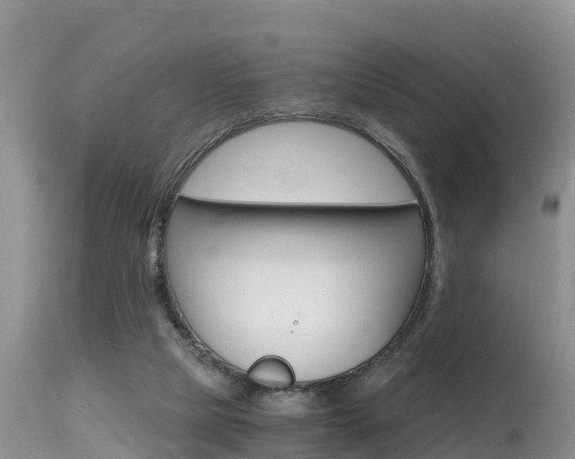 X0000115480065200911061034
