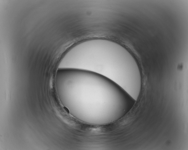 X0000115480068200911061034