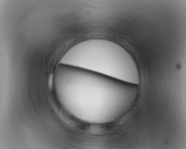 X0000115480070200911061034