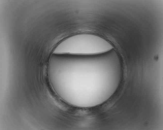 X0000115480071200911061034