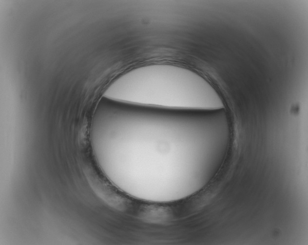 X0000115480073200911061034