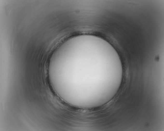 X0000115480074200911061034