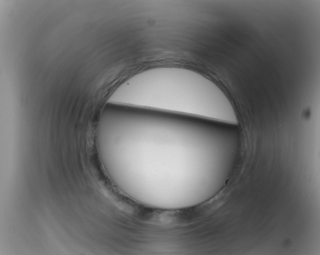 X0000115480078200911061034