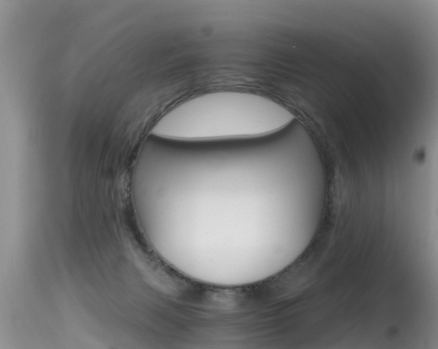 X0000115480079200911061034