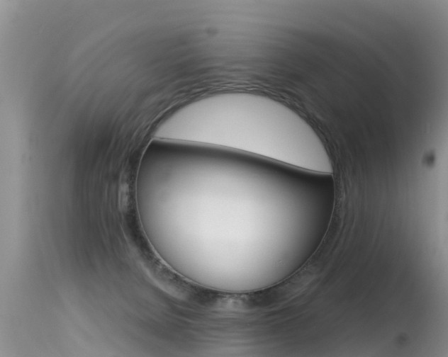 X0000115480080200911061034
