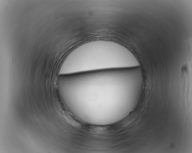 X0000115480081200911061034