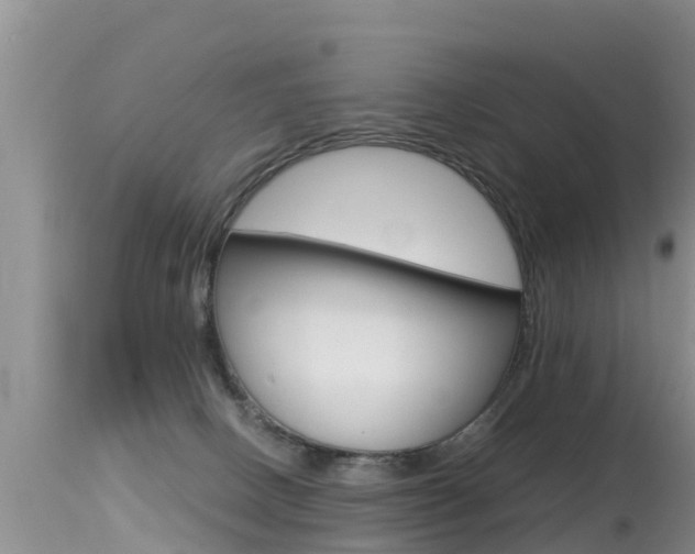 X0000115480082200911061034