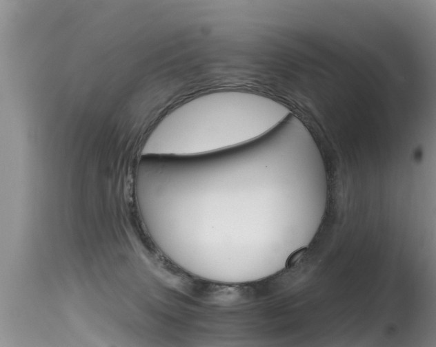 X0000115480083200911061034