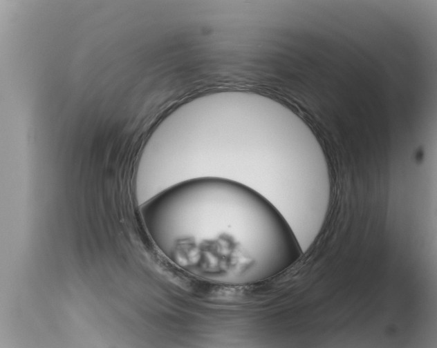 X0000115480084200911061034