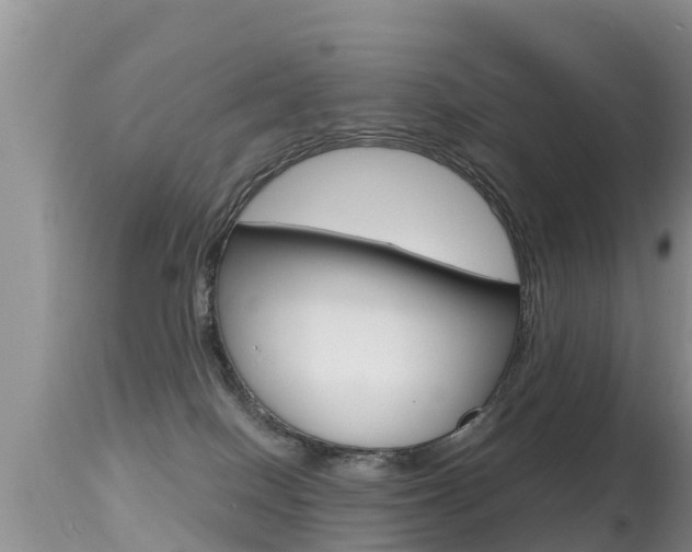 X0000115480086200911061034