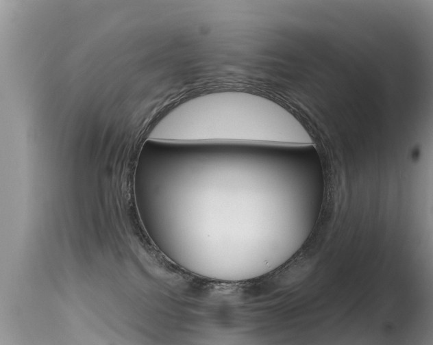 X0000115480088200911061034