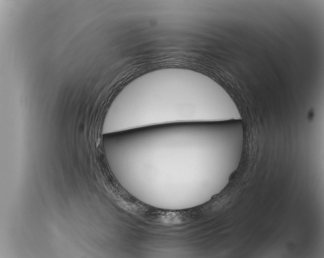 X0000115480091200911061034