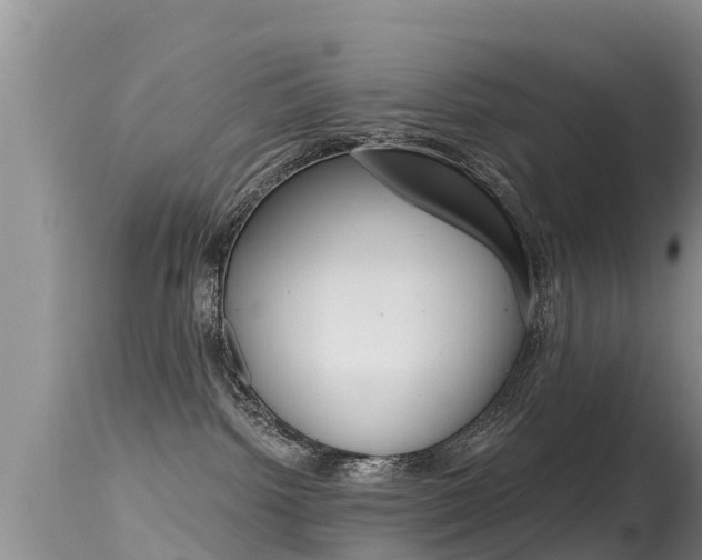 X0000115480092200911061034