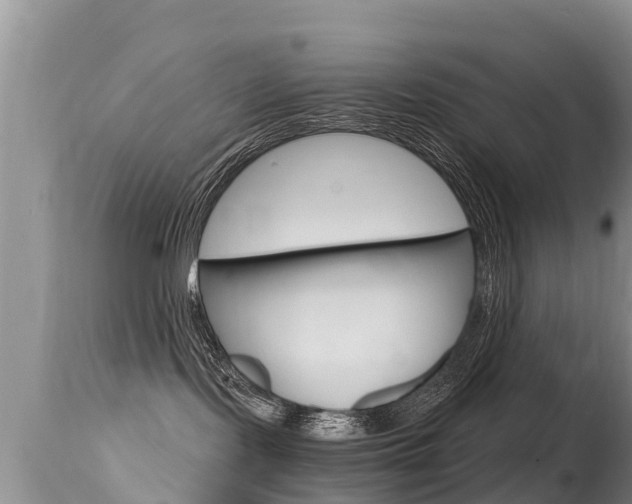 X0000115480095200911061034