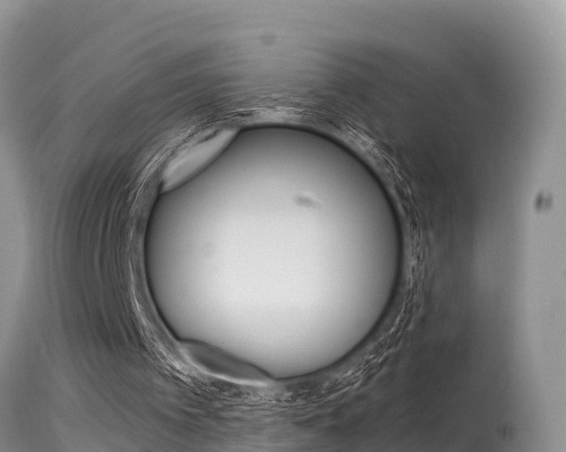 X0000115480097200911061034