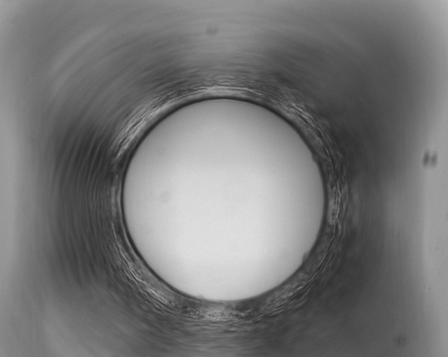 X0000115480098200911061034