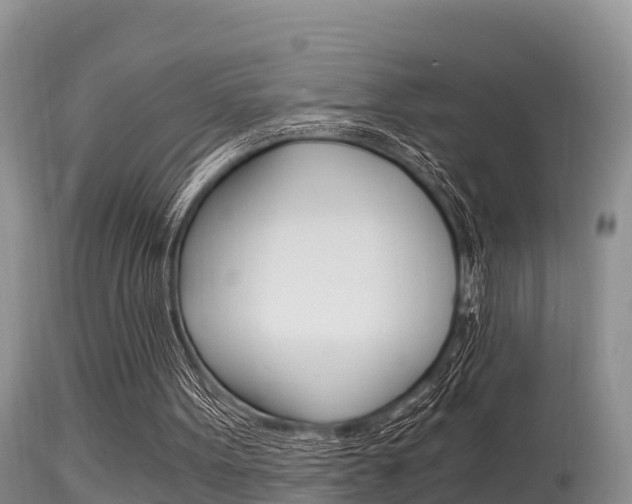 X0000115480099200911061033